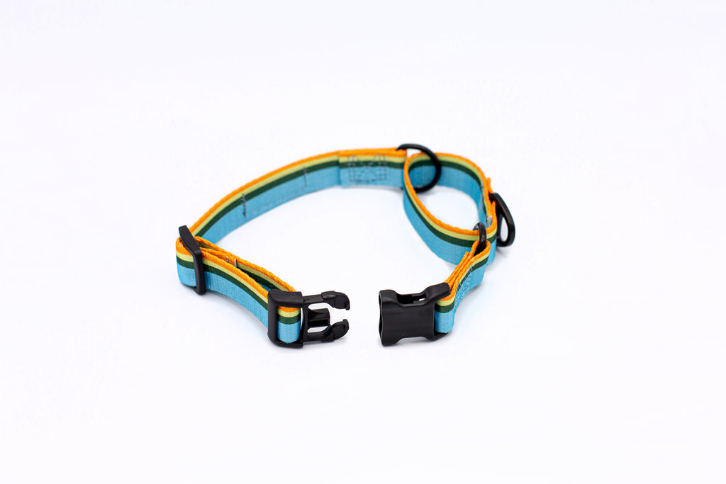 Outdoor Style Nylon Martingale Dog Collar – alternate view 4