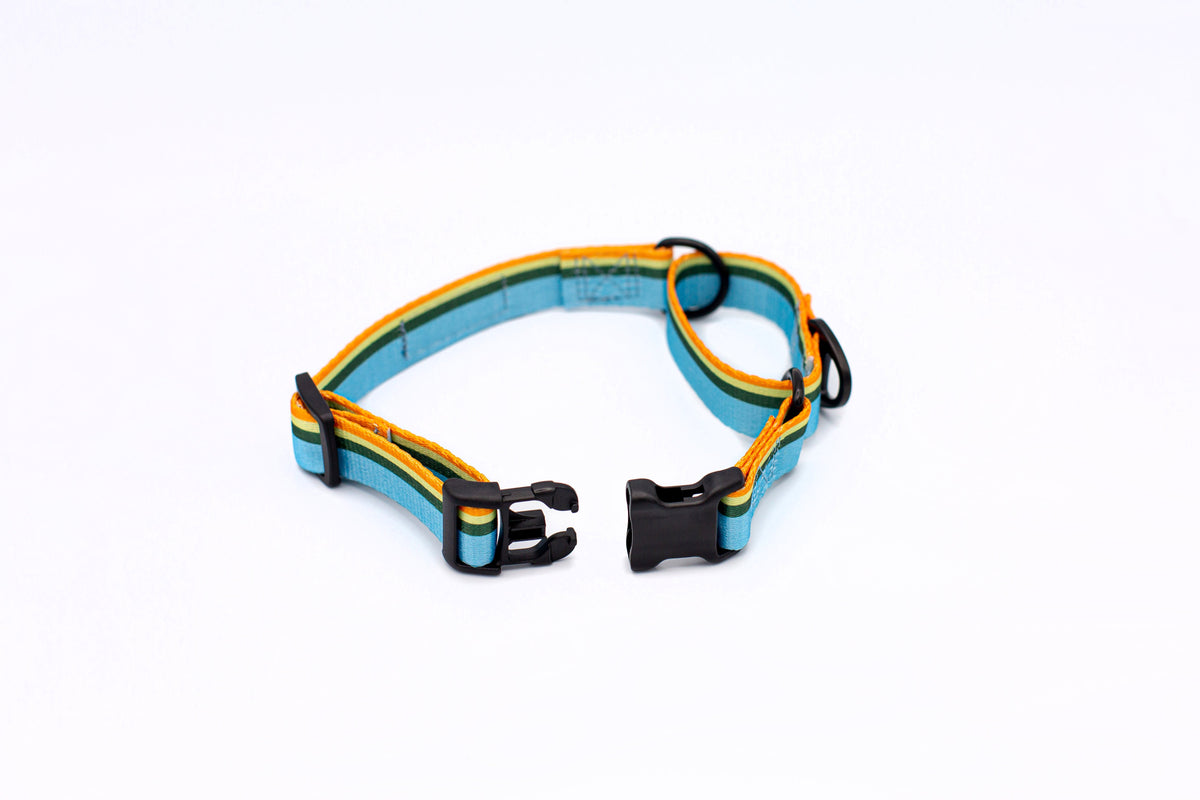 Outdoor Style Nylon Martingale Dog Collar – alternate view 4