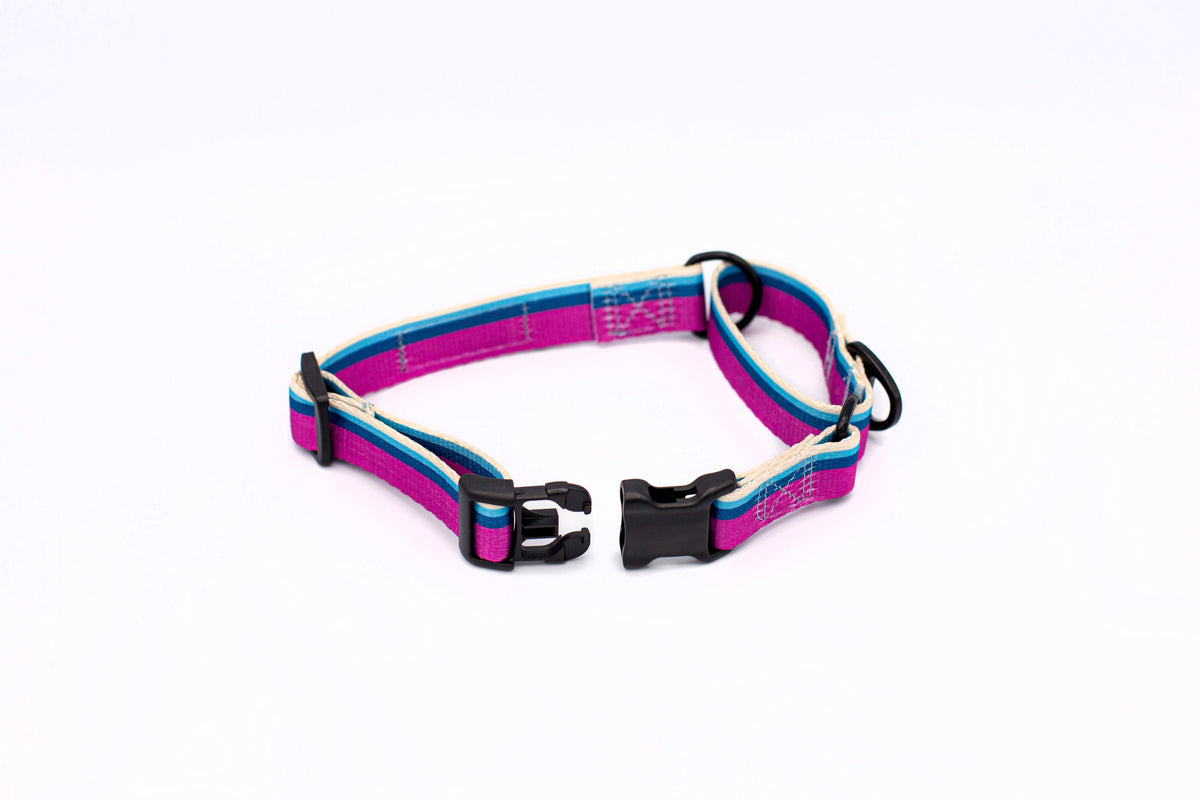 Outdoor Style Nylon Martingale Dog Collar – alternate view 5