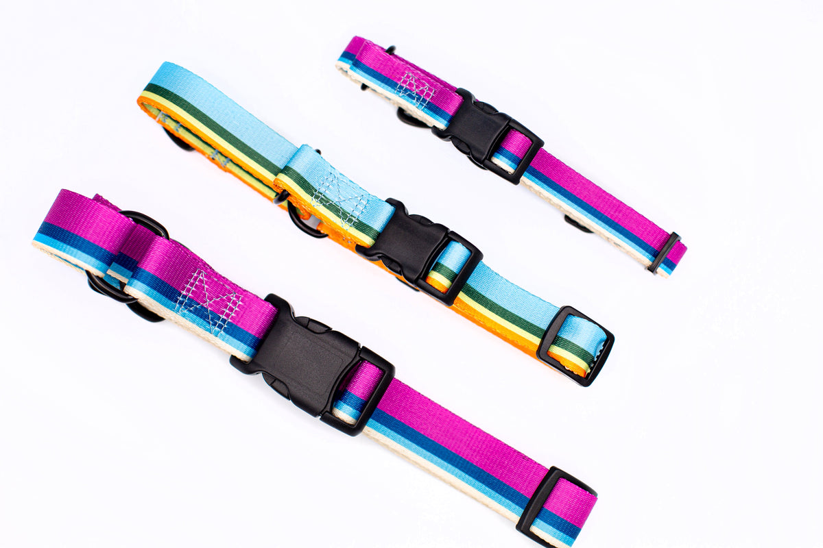 Outdoor Style Nylon Martingale Dog Collar – alternate view 3