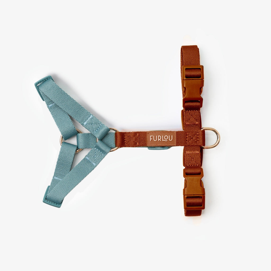 FURLOU blue and clay dog harness, gold hardware detail