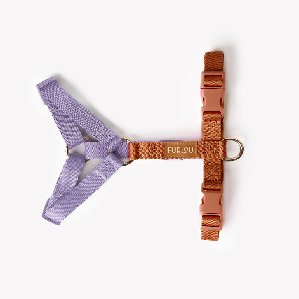 FURLOU lavender and terracotta dog harness, harness on dog