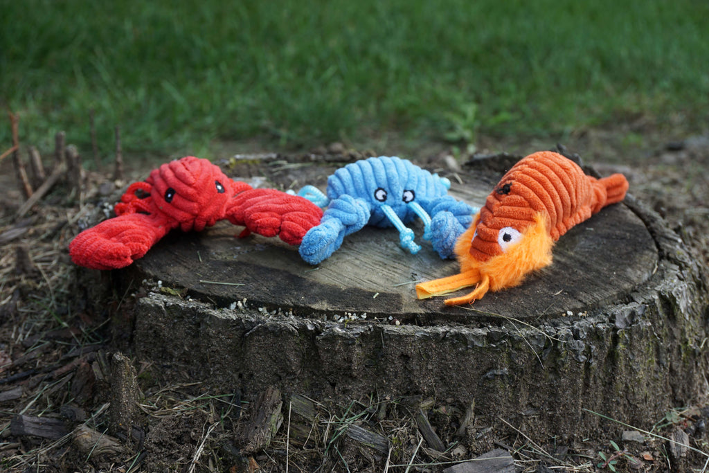 Raw Bar Wee Huggles Plush Dog Toys 3 pack, packaging
