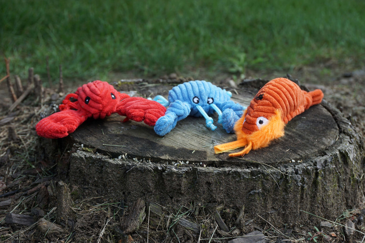 Raw Bar Wee Huggles Plush Dog Toys 3 pack, packaging