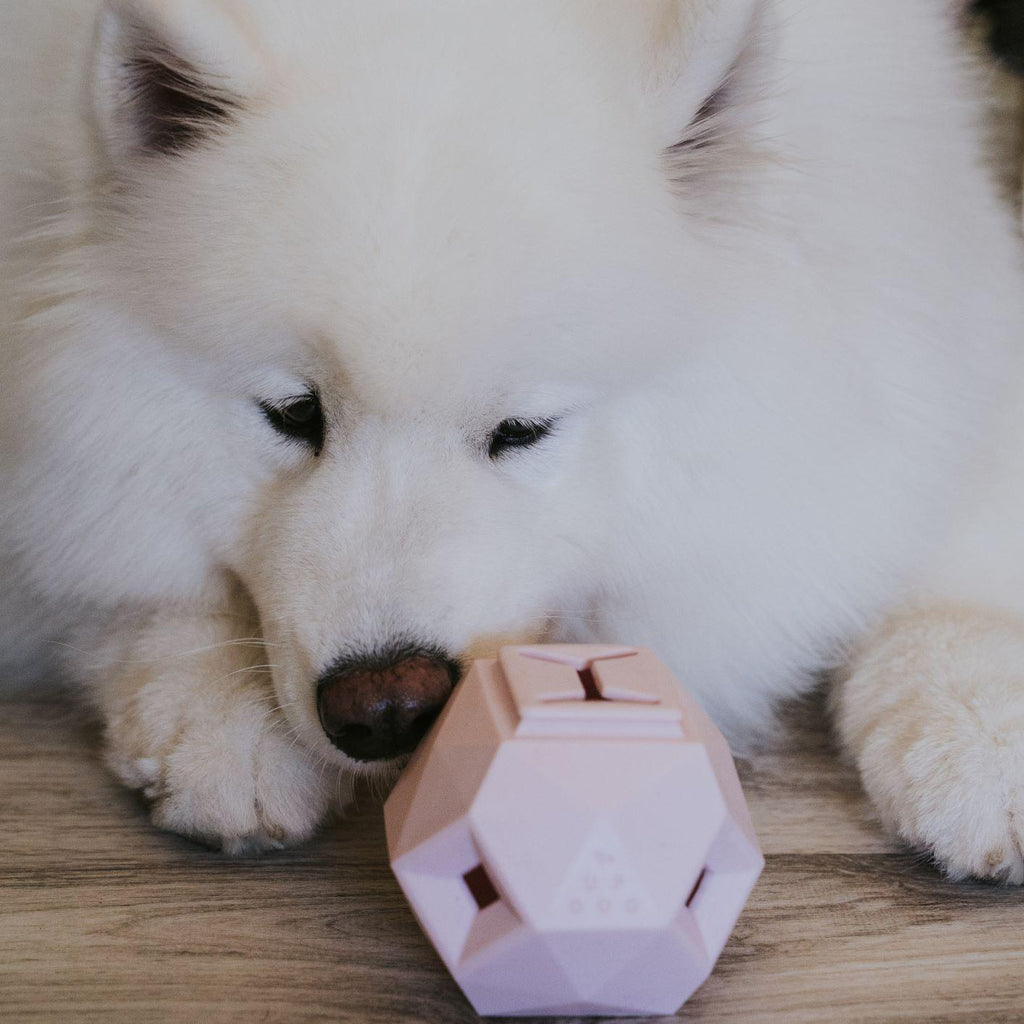 Odin Treat Dispensing Dog Toy – alternate view 11
