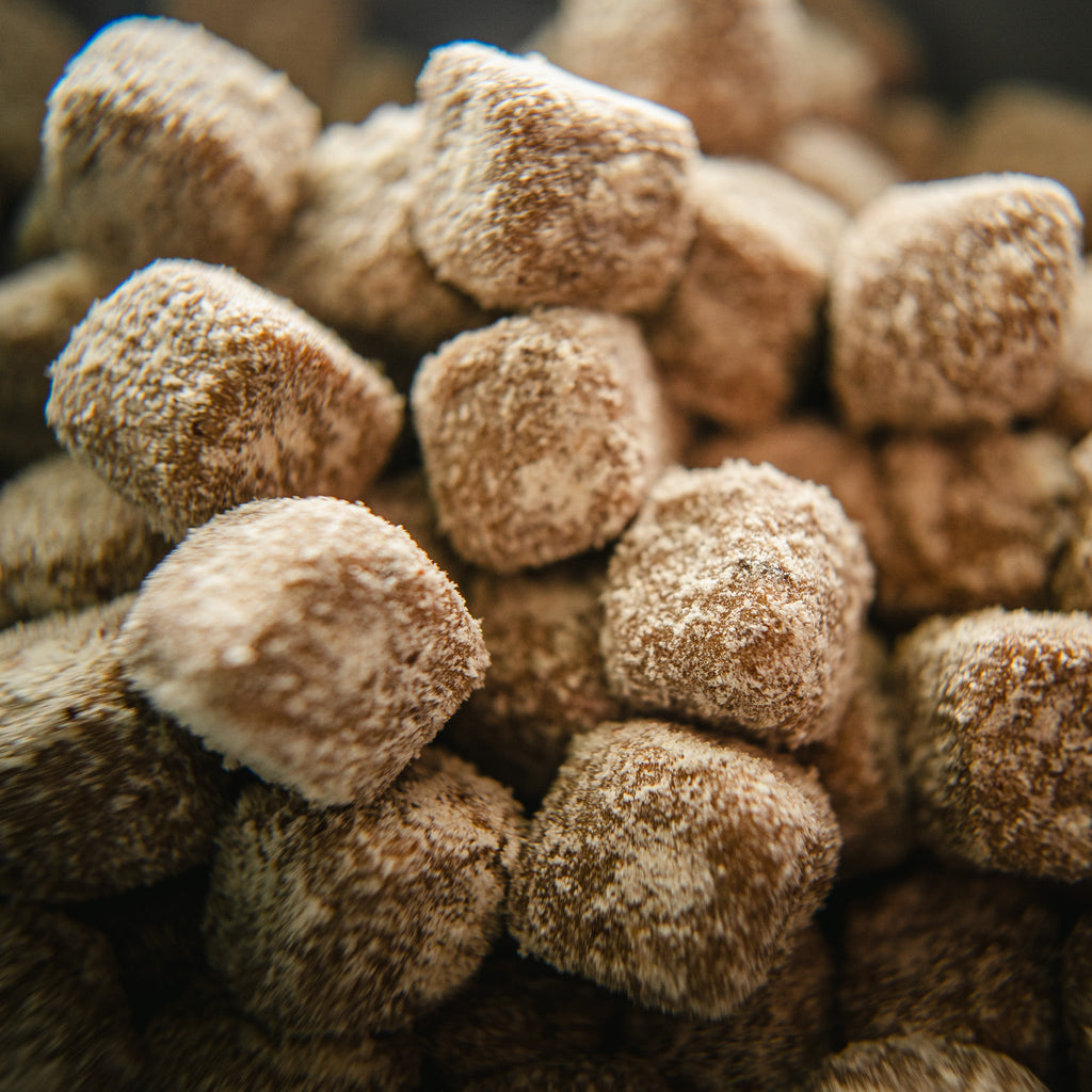 MAYA Digestive Care Probiotic Supplement Chews for Dogs – photo 3 of 3