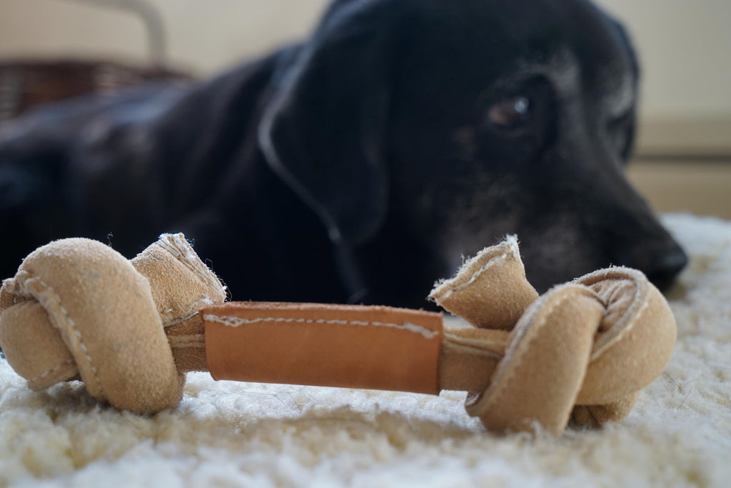 Huggle-Hide Natural Leather Bone Dog Toy 3 Pack, back view
