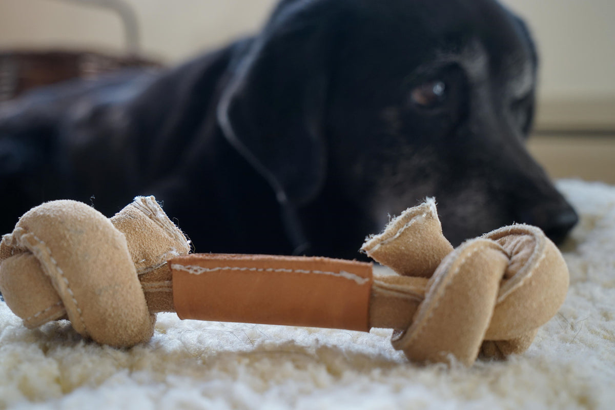 Huggle-Hide Natural Leather Bone Dog Toy 3 Pack, back view