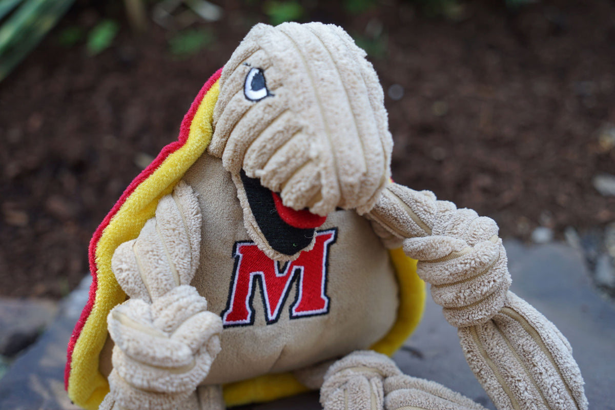 Ncaa University of Maryland Testudo the Terrapin Knottie Plush Dog Toy, lifestyle