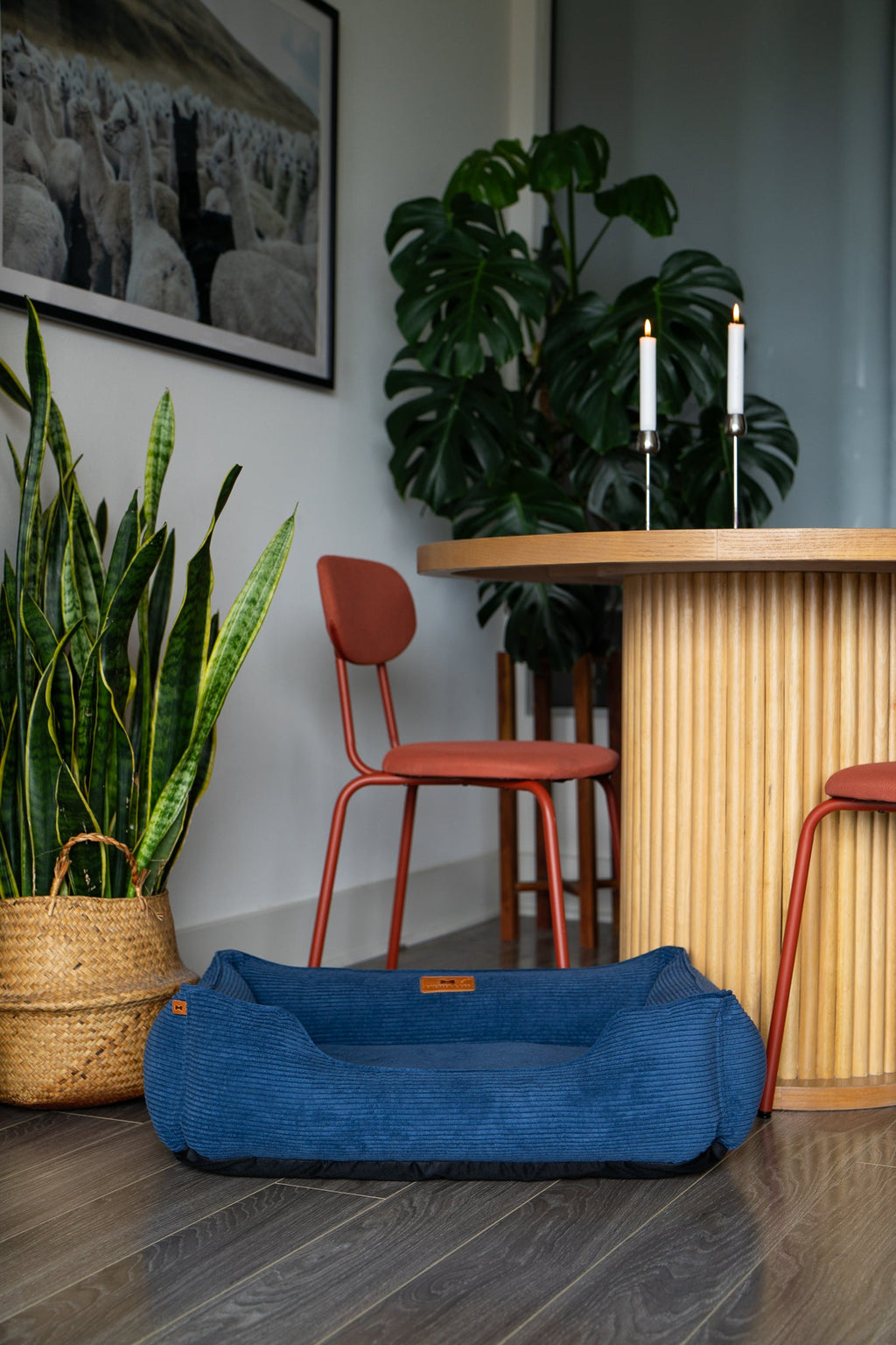 Spacious corduroy dog bed with washable removable cover