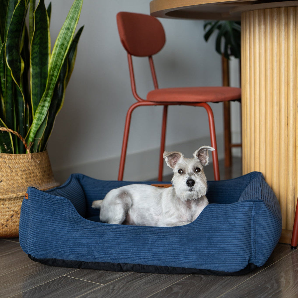 Spacious corduroy dog bed with washable removable cover