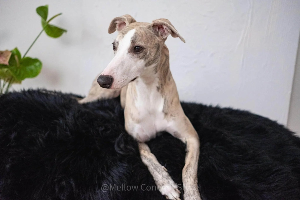 Oval luxury pet bed handcrafted from genuine sheepskin