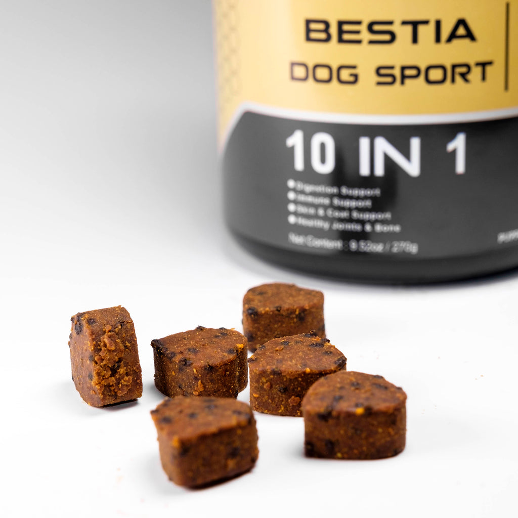 BDS 10 in 1 Dog Food Supplement – alternate view 3