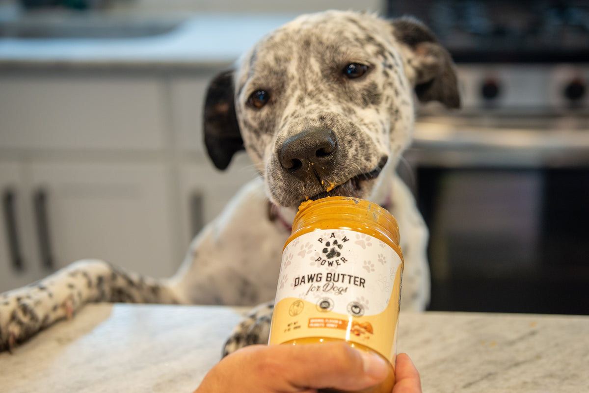 Dawg Butter for Dogs – Peanut Butter Lickable Treat, Original Flavor – alternate view 5