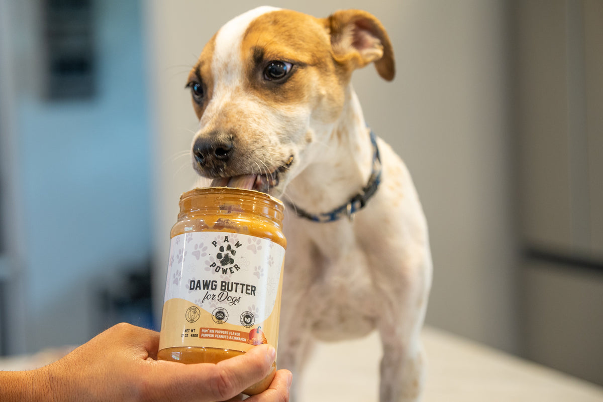 Dawg Butter Pum'kin Puppers Peanut Butter for Dogs – alternate view 9