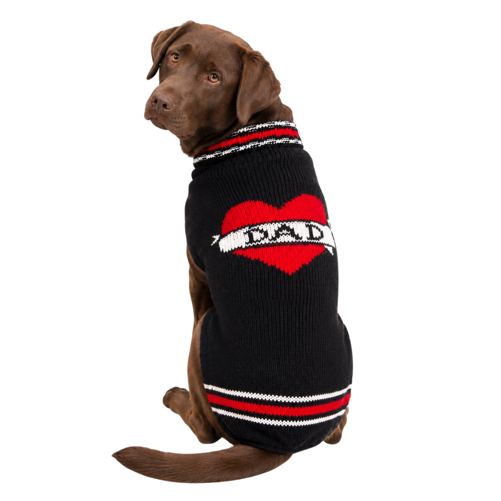 Dad Dog Sweater 100 Percent Wool Heart Design – photo 1 of 7