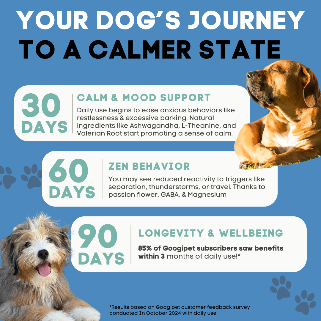 Your dog's journey to a calmer state 30-60-90 day infographic with relaxed dogs