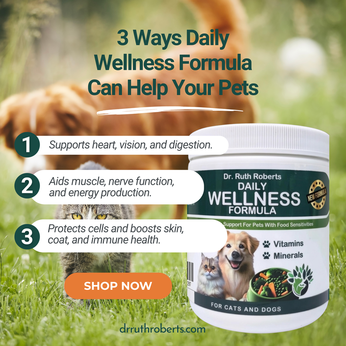 Daily Wellness Formula Glandular-Free Multivitamin by Dr. Ruth Roberts – photo 9 of 10