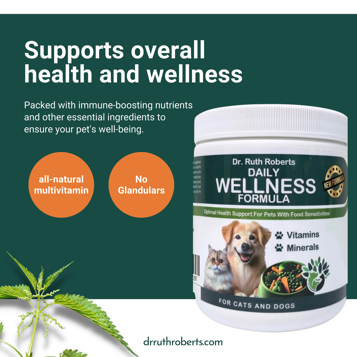 Daily Wellness Formula Glandular-Free Multivitamin by Dr. Ruth Roberts – photo 6 of 10