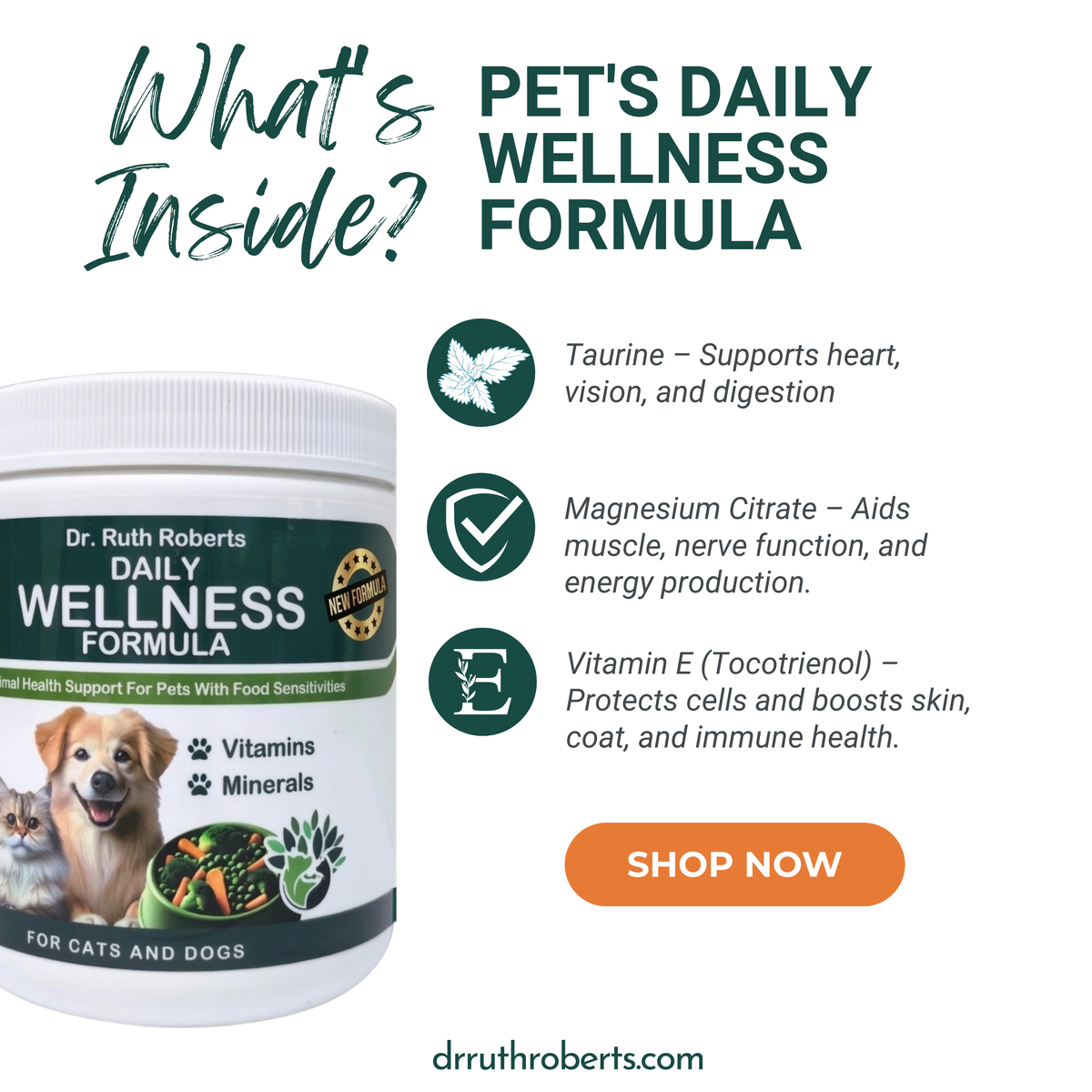 Daily Wellness Formula Glandular-Free Multivitamin by Dr. Ruth Roberts – photo 7 of 10