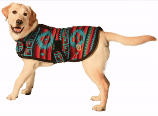 Desert Rose Blanket Dog Coat Southwestern Pattern – photo 2 of 6