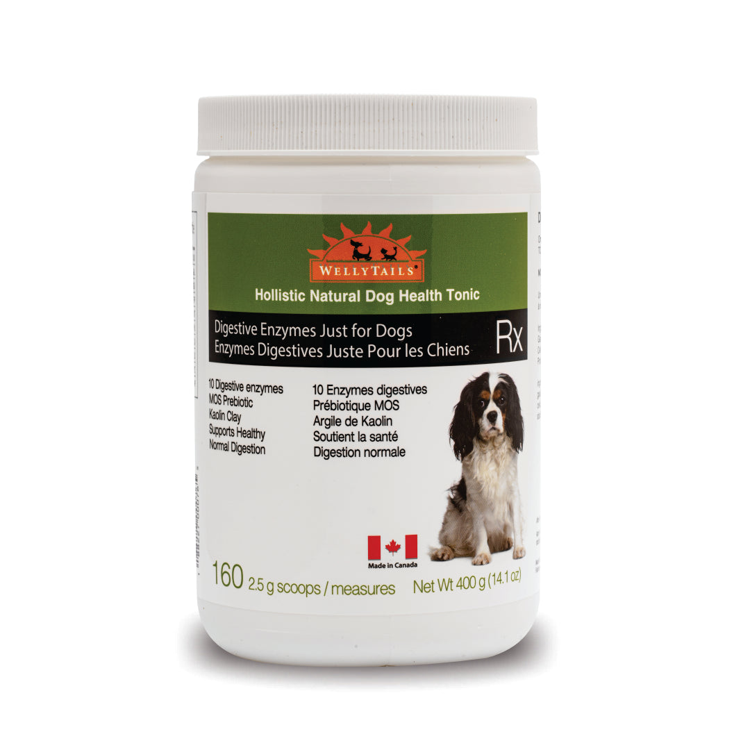 WellyTails Digestive Enzymes supplement for dogs – photo 1 of 2