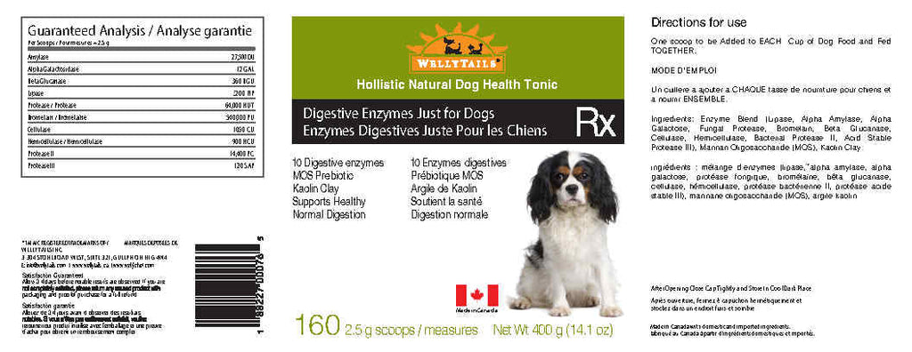 WellyTails Digestive Enzymes supplement for dogs – photo 2 of 2