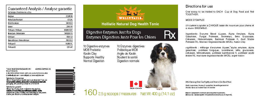 WellyTails Digestive Enzymes supplement for dogs – photo 2 of 2