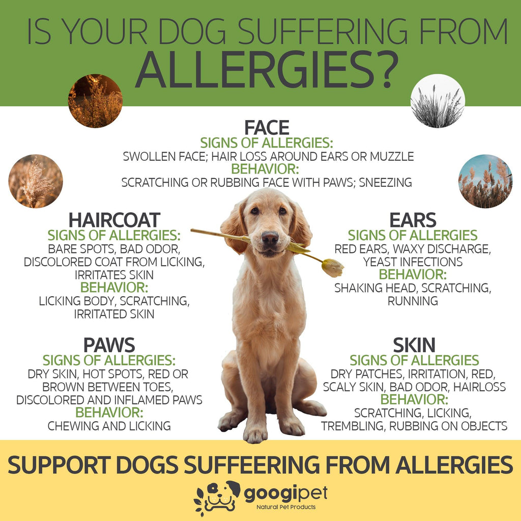 Allergy & Immune Support Chews for Dogs (Peanut Butter Flavor) – alternate view 8