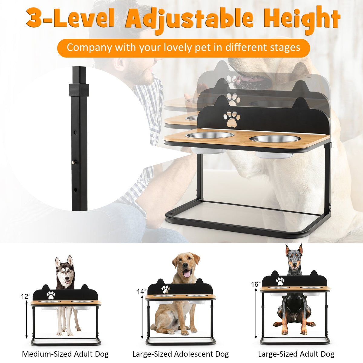 Elevated Dog Bowl Stand with 2 Stainless Steel Bowls – photo 6 of 8
