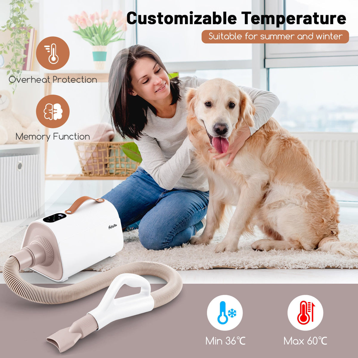 Pet Hair Blower Dryer with Negative Ion – photo 2 of 8