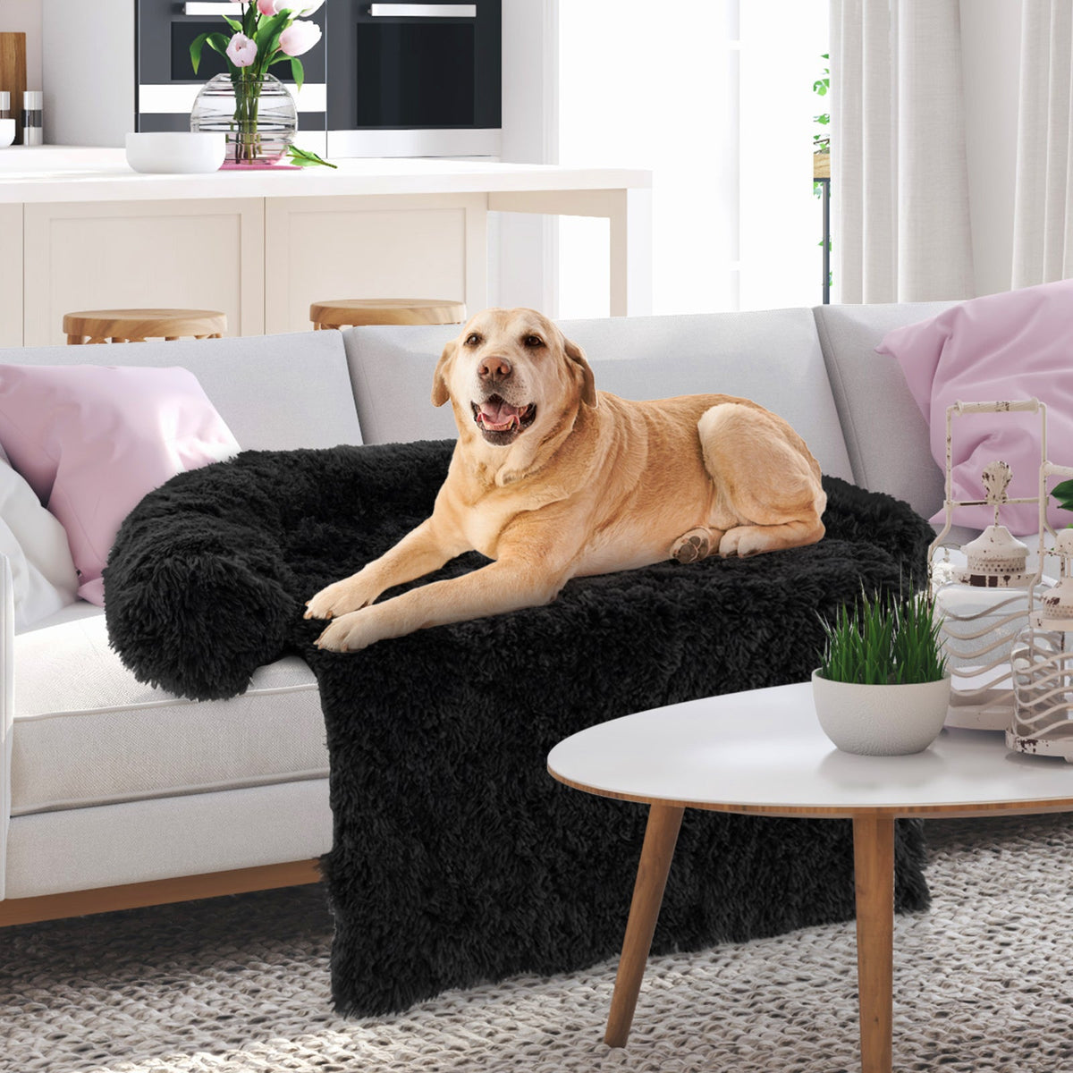 Plush Calming Dog Couch Bed with Anti-Slip Bottom – photo 5 of 10