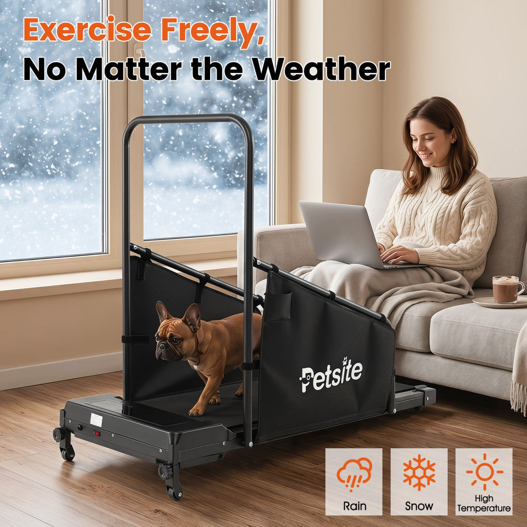 Dog Treadmill with Remote Control and LCD Display – photo 3 of 8