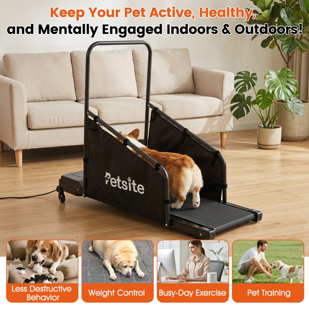 Dog Treadmill with Remote Control and LCD Display – photo 4 of 8