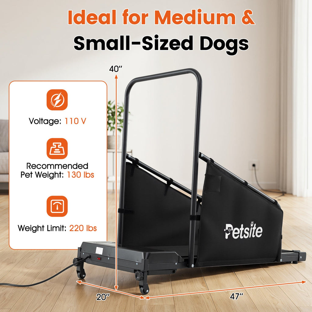 Dog Treadmill with Remote Control and LCD Display – photo 2 of 8