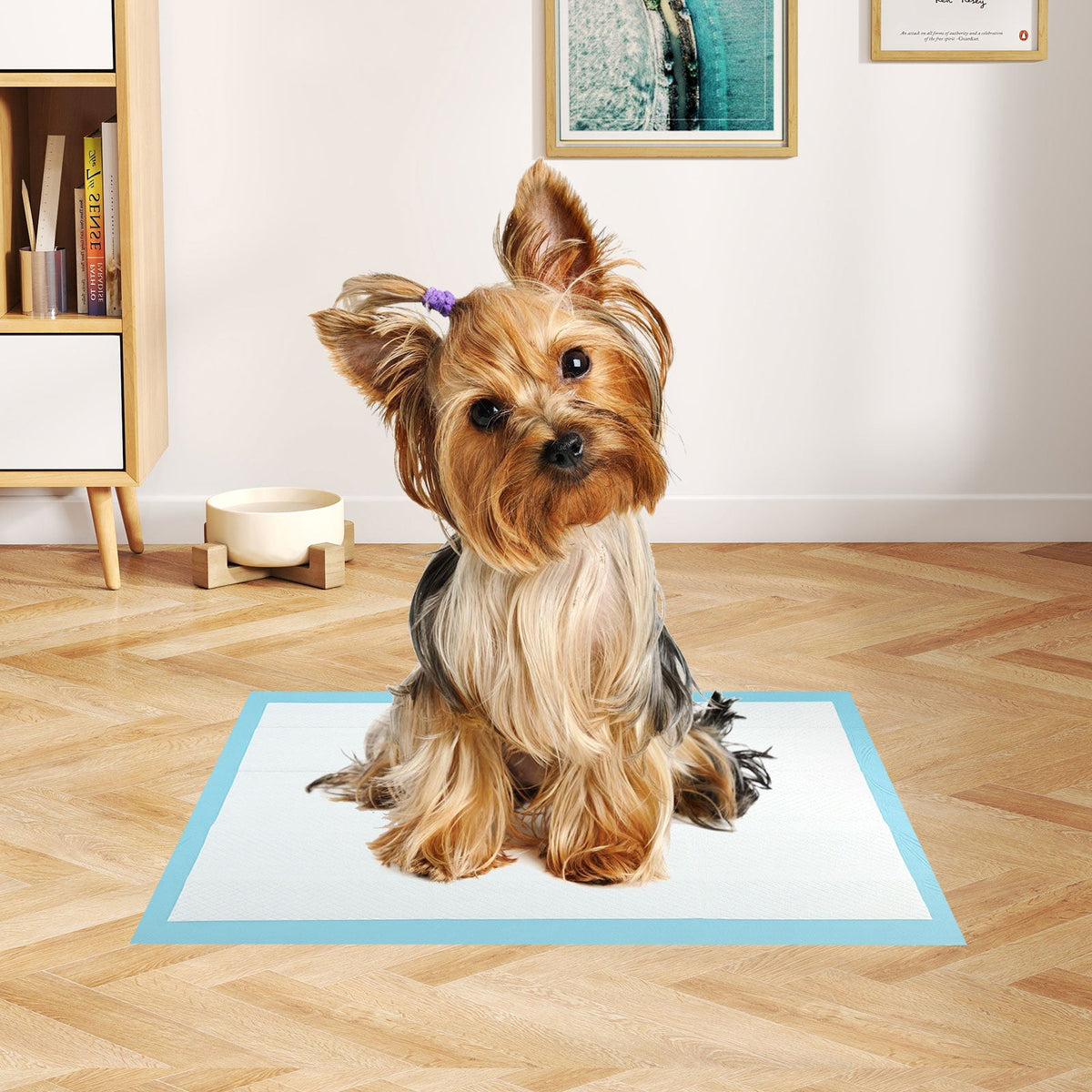 Dog Pee Pads 18 x 13 Inch 300 Count Blue – photo 1 of 8
