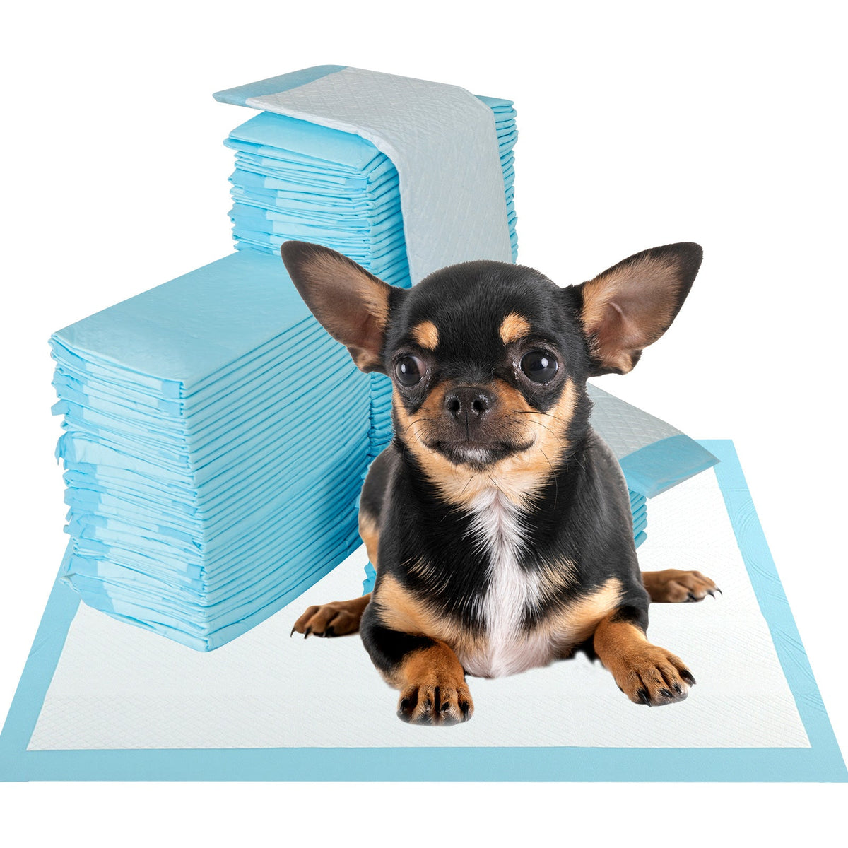 Dog Pee Pads 18 x 13 Inch 300 Count Blue – photo 3 of 8