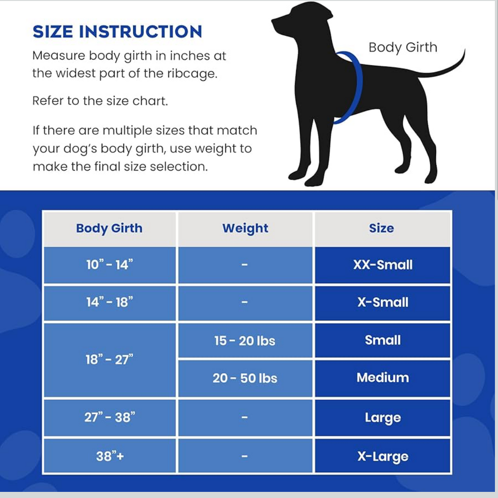 Paws Aboard Blue and Yellow Neoprene Pet Life Vest – alternate view 2