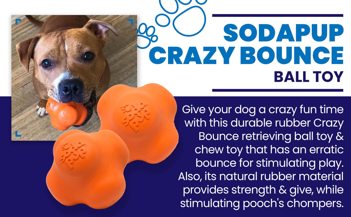 SodaPup Crazy Bounce orange rubber retrieving ball dog toy – photo 5 of 7