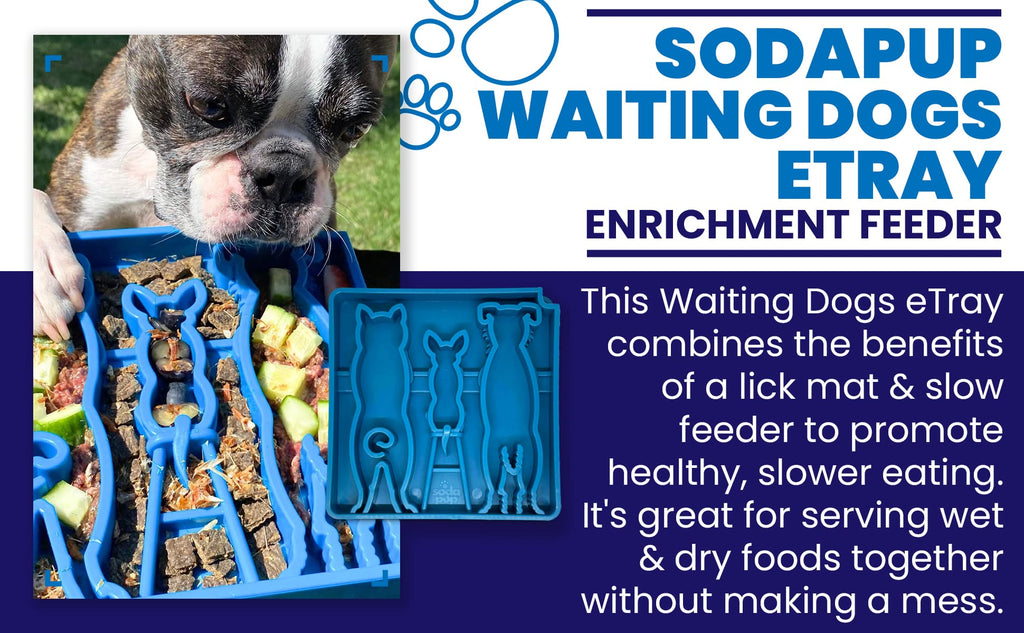 SodaPup Waiting Dogs eTray – Slow Feeder Bowl – alternate view 4