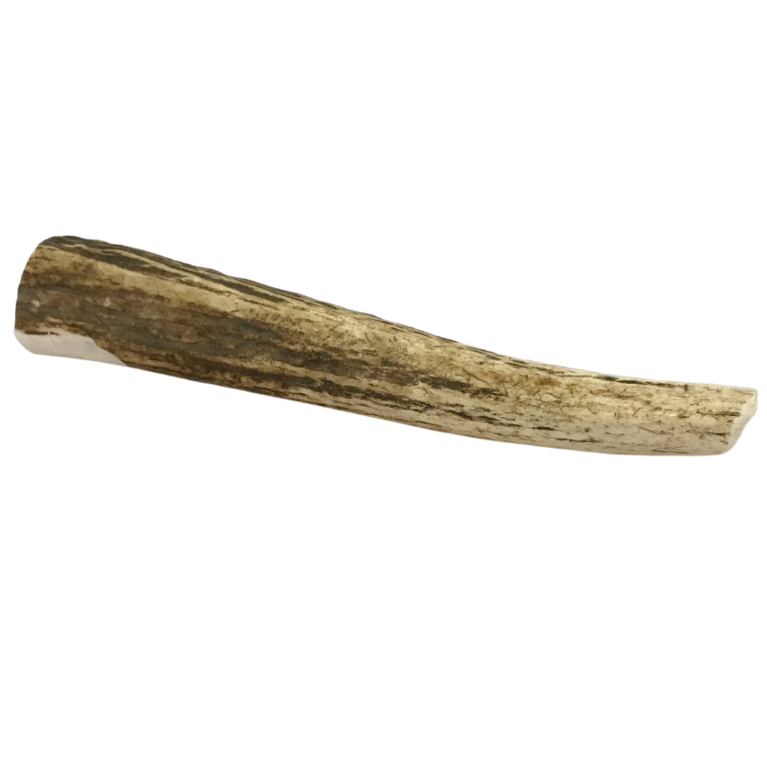 Large Whole Elk Antler for Dogs  95115