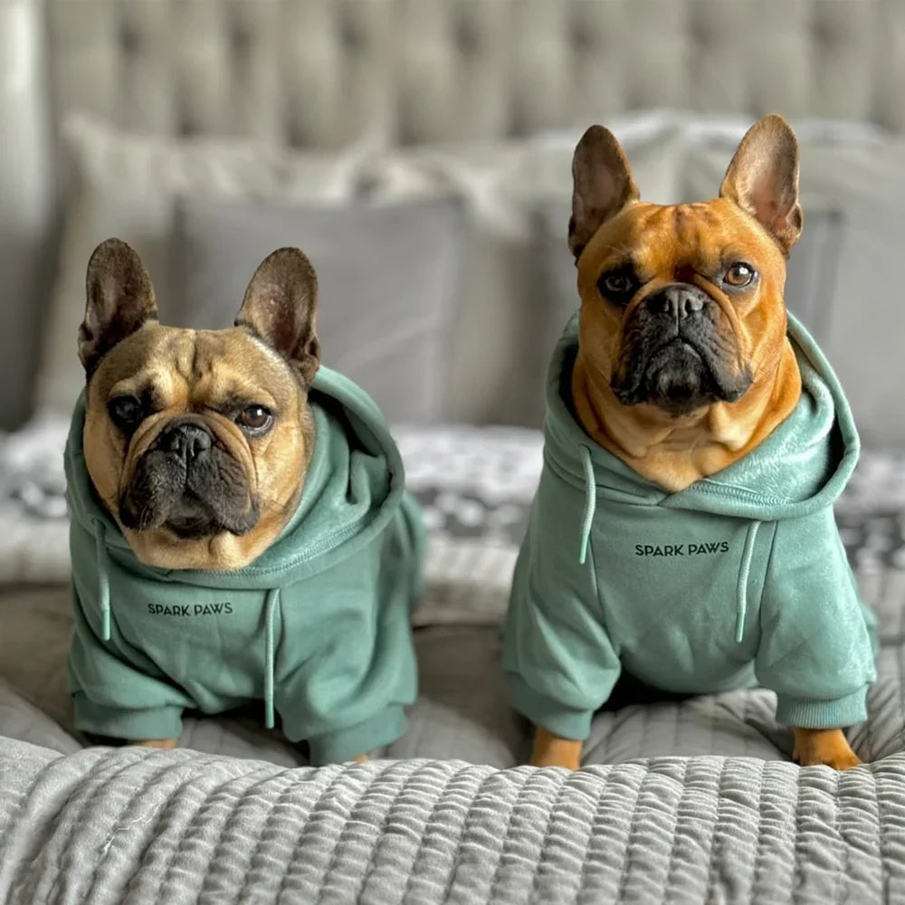 Essential Dog Hoodie - Teal – alternate view 3