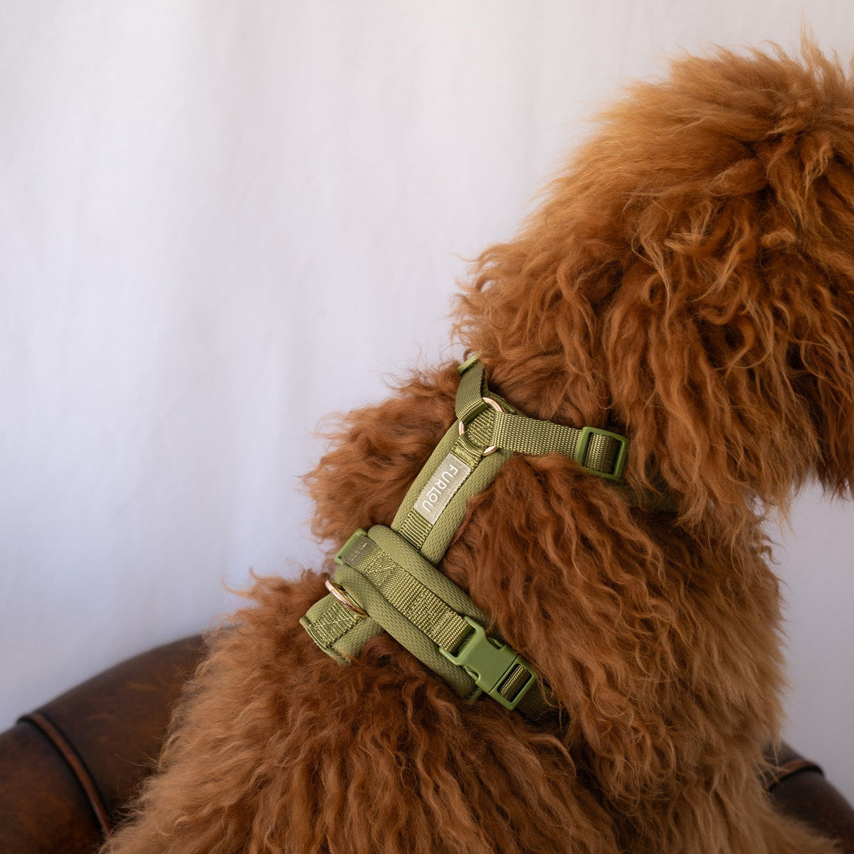 Green Comfort Dog Harness, detail view