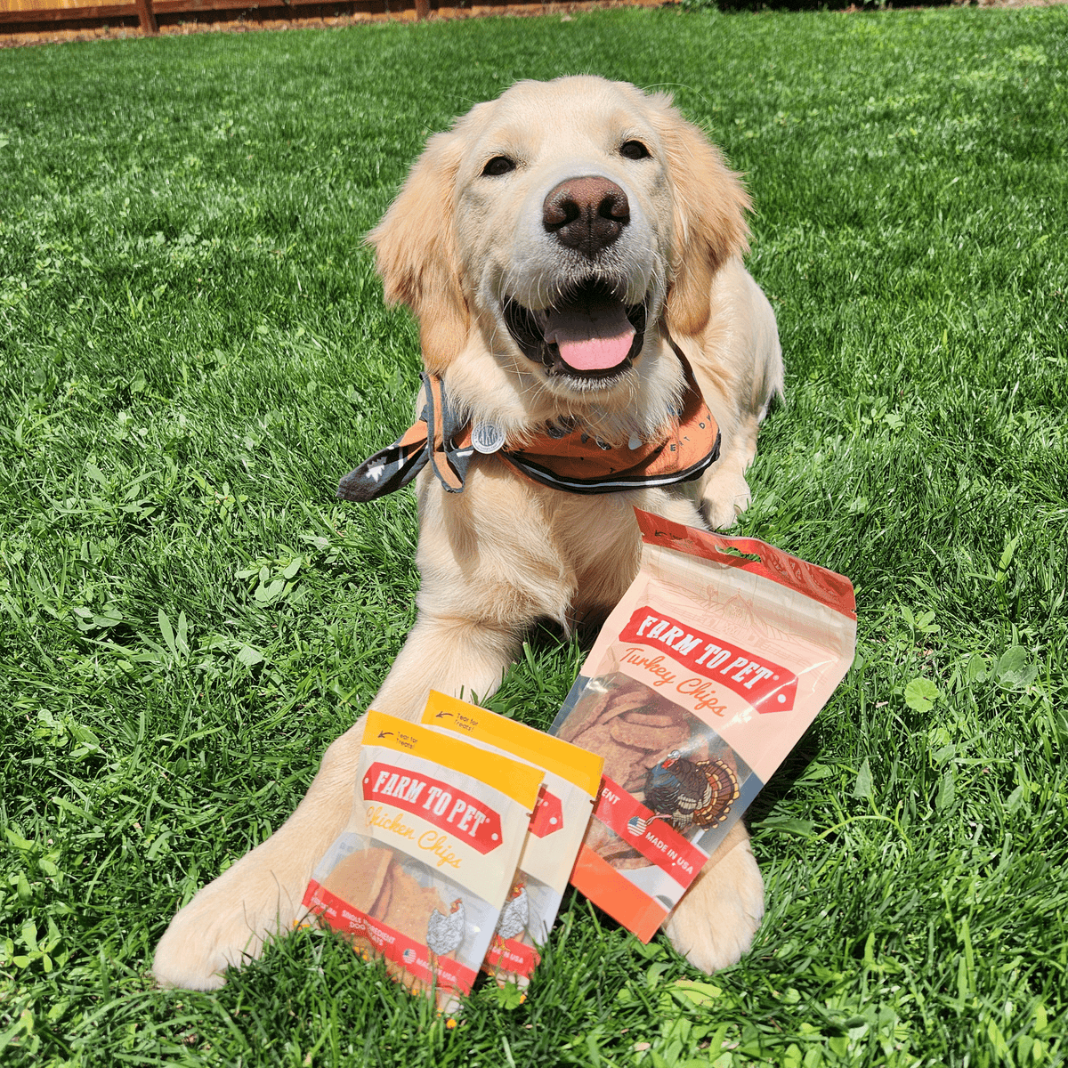 Puppy Packs n Snacks Dog Treat Starter Pack – Single-Ingredient – detail