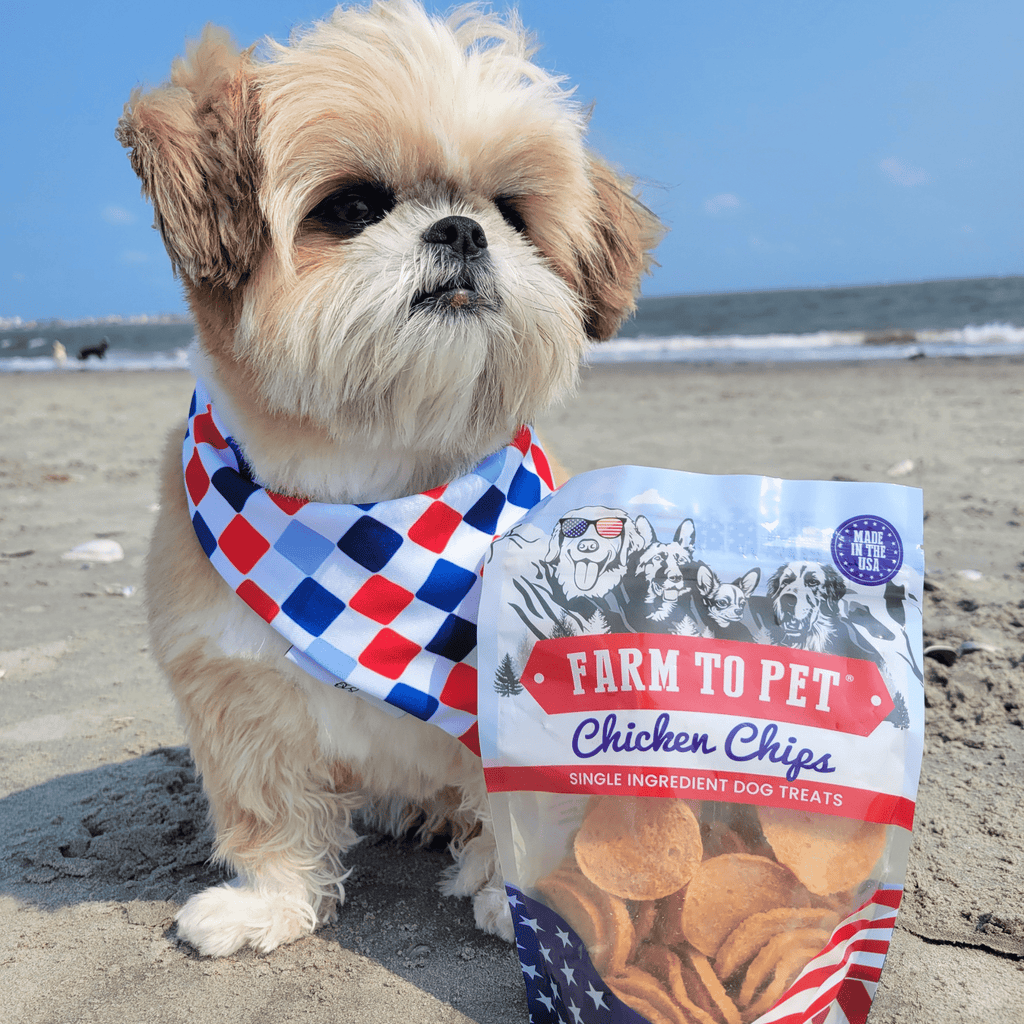 Americana Chicken Chips for Dogs | Celebrate with USA-made Dog Treats – alternate view 4