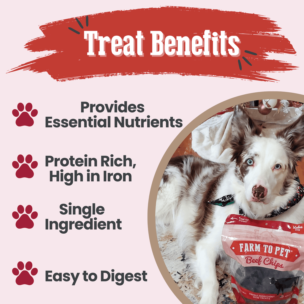 Beef Chips Dog Treats | Single-Ingredient Healthy Treats for Dogs – detail