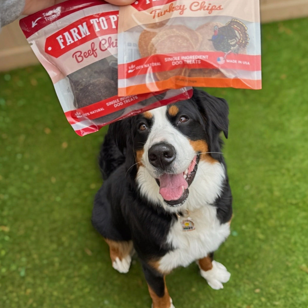 Puppy Packs n Snacks Dog Treat Starter Pack – Single-Ingredient – detail