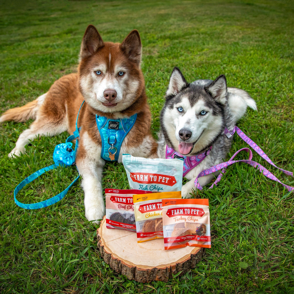 Puppy Packs n Snacks Dog Treat Starter Pack – Single-Ingredient – detail