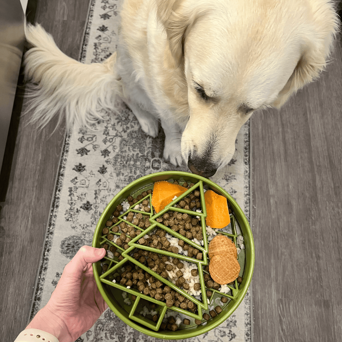 Slow Feeder Dog Bowls – alternate view 26
