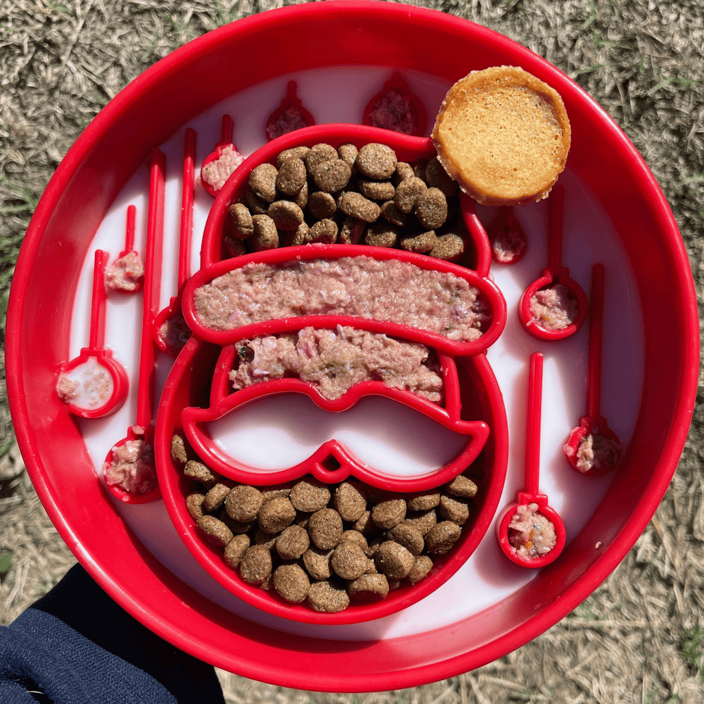 Slow Feeder Dog Bowls – alternate view 19